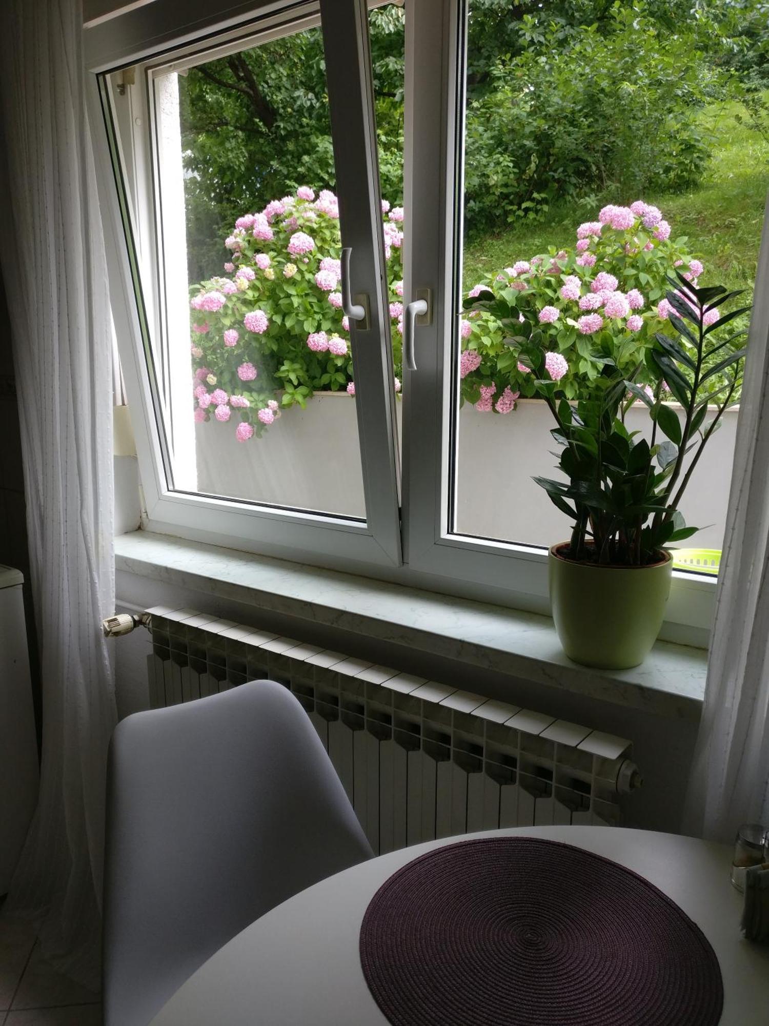 Apartman Malina Karlovac Bagian luar foto